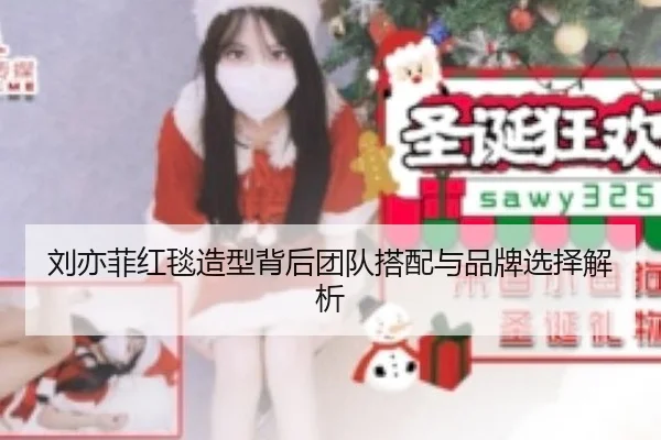 刘亦菲红毯造型背后团队搭配与品牌选择解析